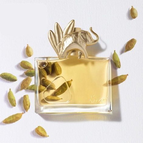 KENZO Jungle – Eau de Parfum 100 ml - KENZO - Extrait Alchimique