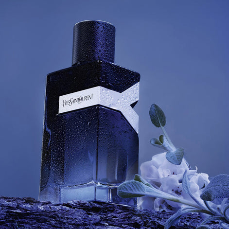 Y – Eau de parfum Homme - Yves Saint Laurent - Extrait Alchimique